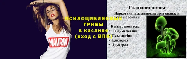 марихуана Абаза