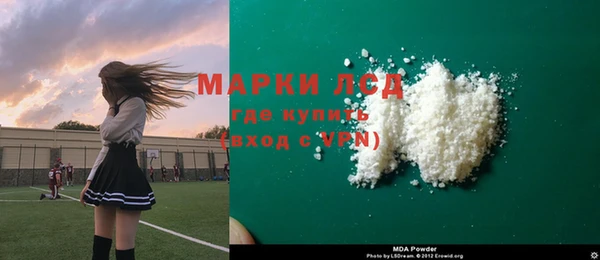стаф Алексин