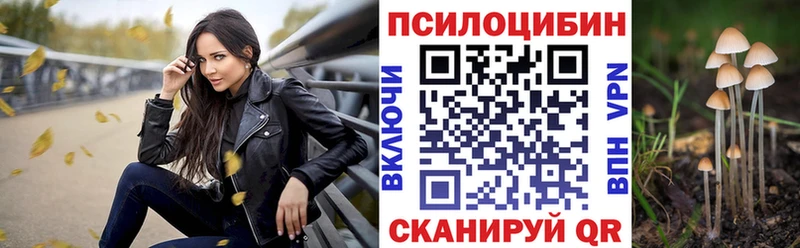 Псилоцибиновые грибы мицелий  omg ссылка  Покачи  что такое наркотик 